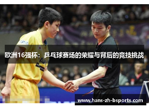 欧洲16强杯:乒乓球赛场的荣耀与背后的竞技挑战 欧洲16强杯:乒乓球赛场的荣耀与背后的竞技挑战