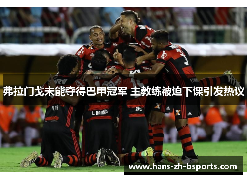 弗拉门戈未能夺得巴甲冠军 主教练被迫下课引发热议