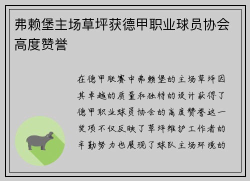 弗赖堡主场草坪获德甲职业球员协会高度赞誉 弗赖堡主场草坪获德甲职业球员协会高度赞誉