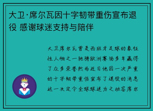 大卫·席尔瓦因十字韧带重伤宣布退役 感谢球迷支持与陪伴