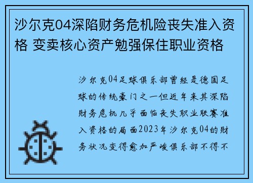 沙尔克04深陷财务危机险丧失准入资格 变卖核心资产勉强保住职业资格 沙尔克04深陷财务危机险丧失准入资格 变卖核心资产勉强保住职业资格